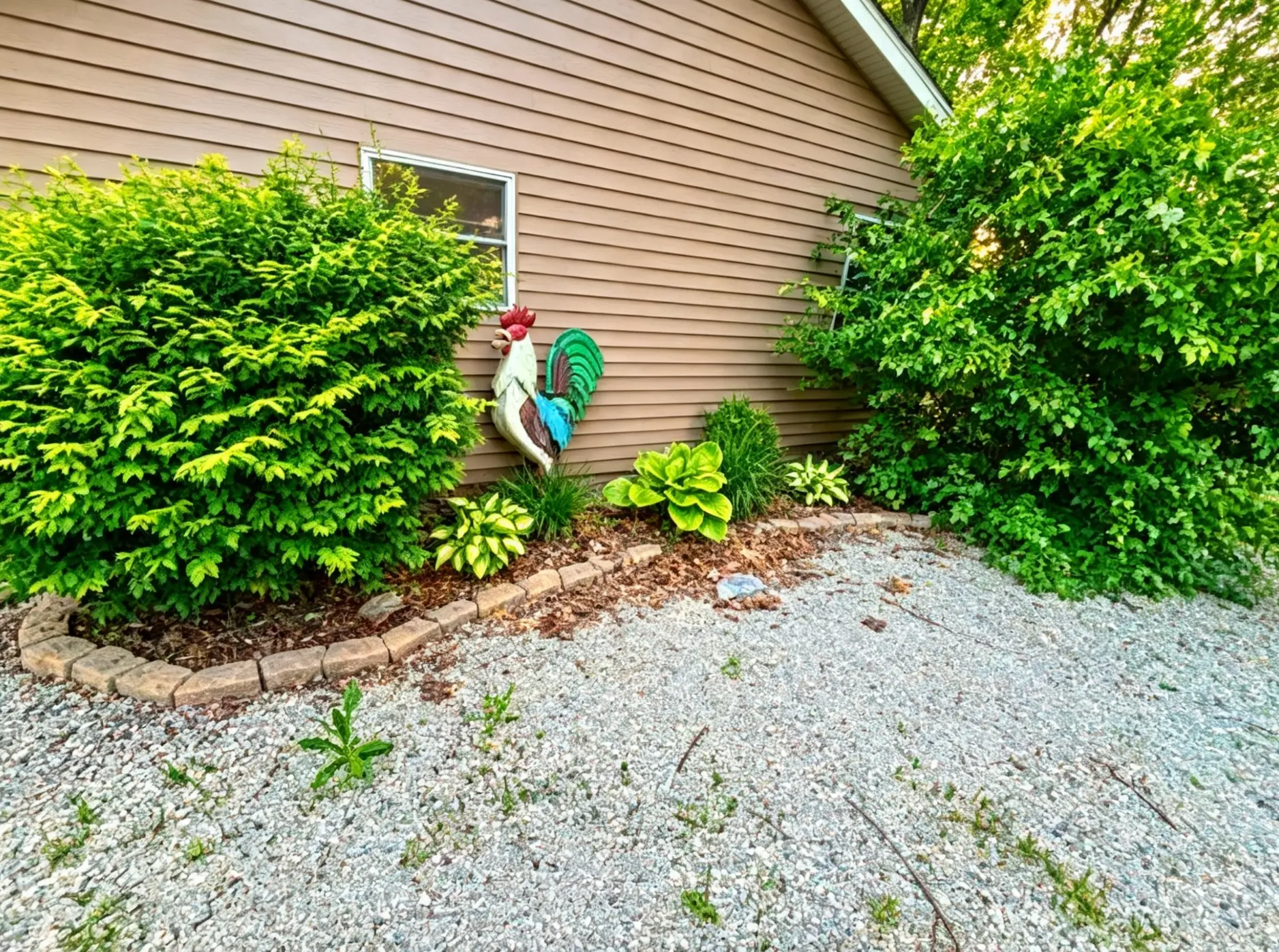Landscape bed with paver edging, hostas and evergreen shrubs along the side of a house